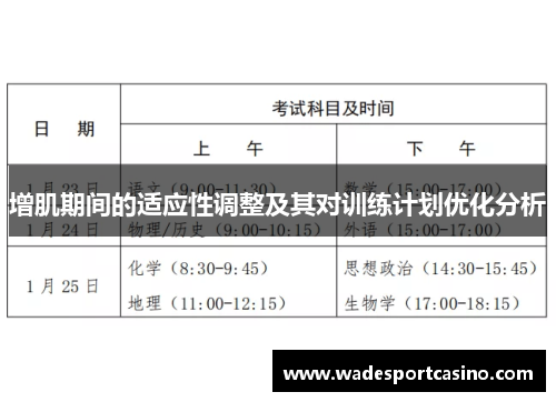 增肌期间的适应性调整及其对训练计划优化分析