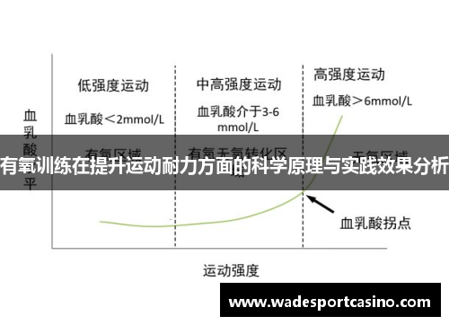 有氧训练在提升运动耐力方面的科学原理与实践效果分析