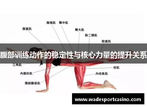 腹部训练动作的稳定性与核心力量的提升关系